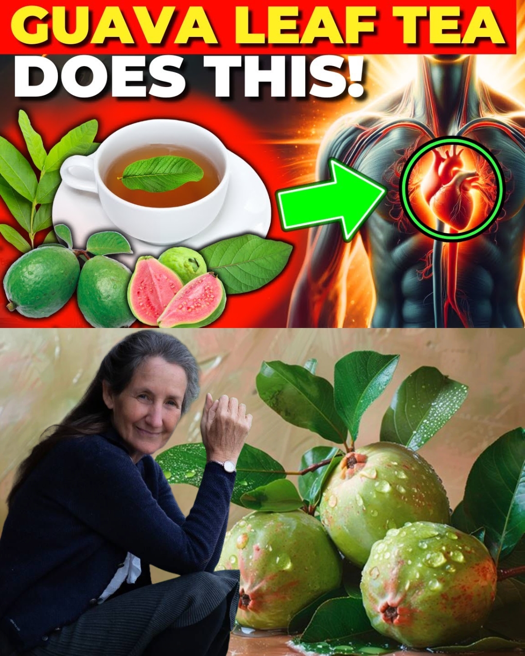 🌿 20 Amazing Benefits of Guava Leaves You Wish You Knew Sooner