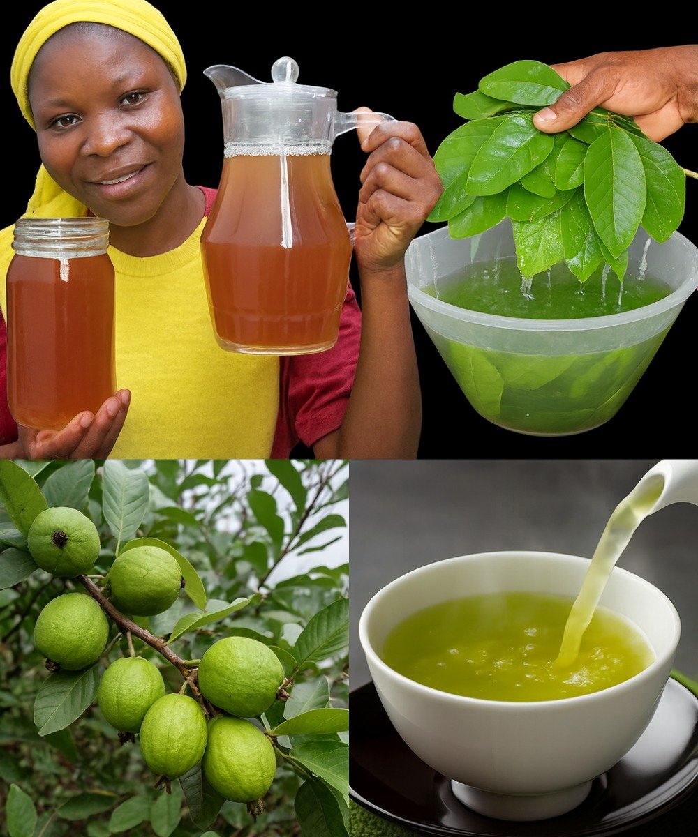 17 Hidden Powers of Guava Leaf Tea That Will Transform Your Health – Drink It Twice a Week and Feel the Magic!