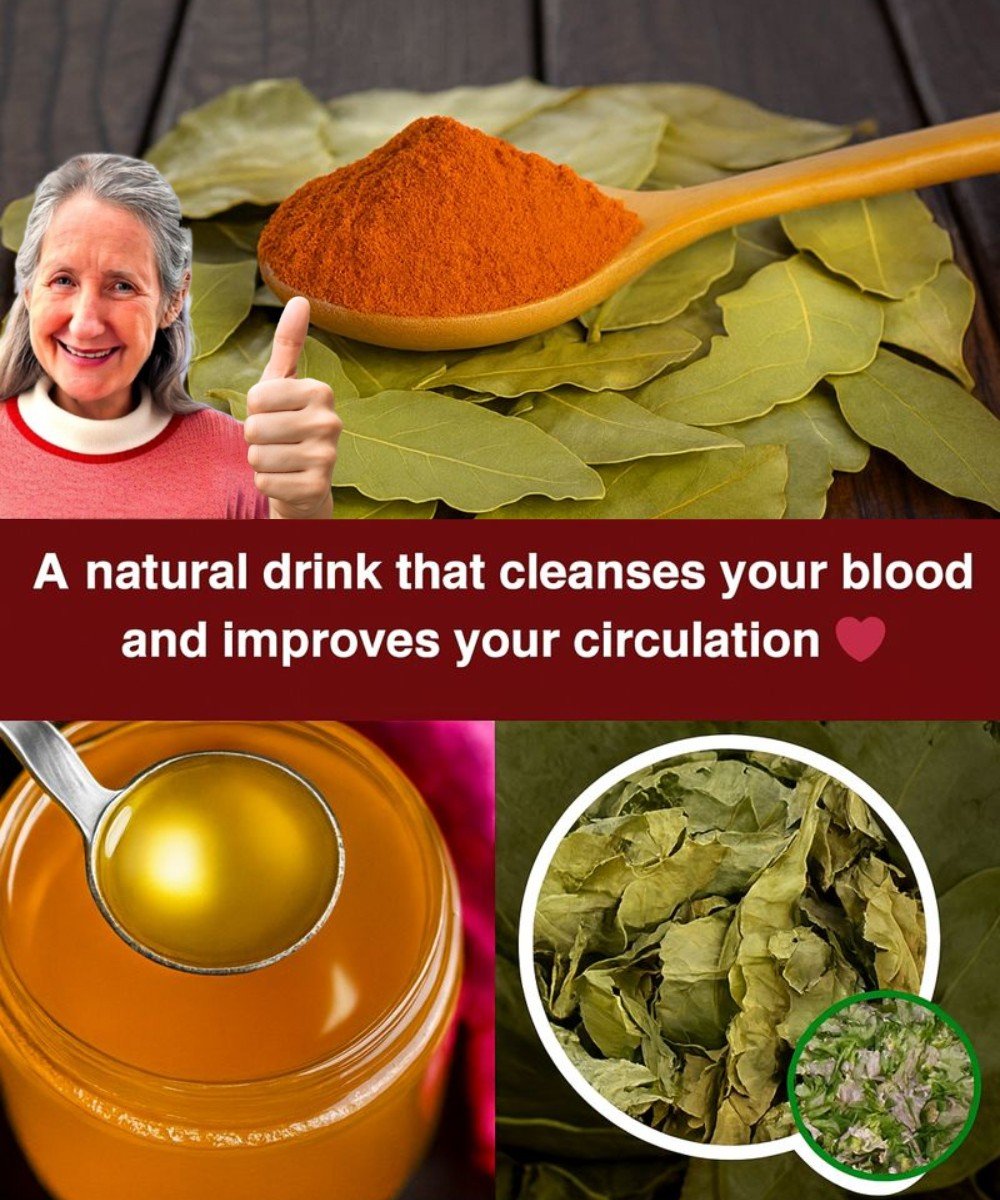 A Simple Herbal Drink That May Help Support Healthy Blood Sugar, Circulation, and Blood Pressure Naturally
