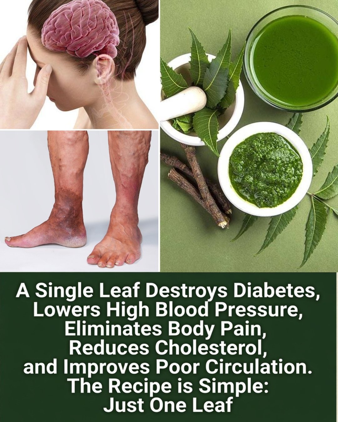 Neem Leaves: Benefits, Uses, Preparation & Safety Guide