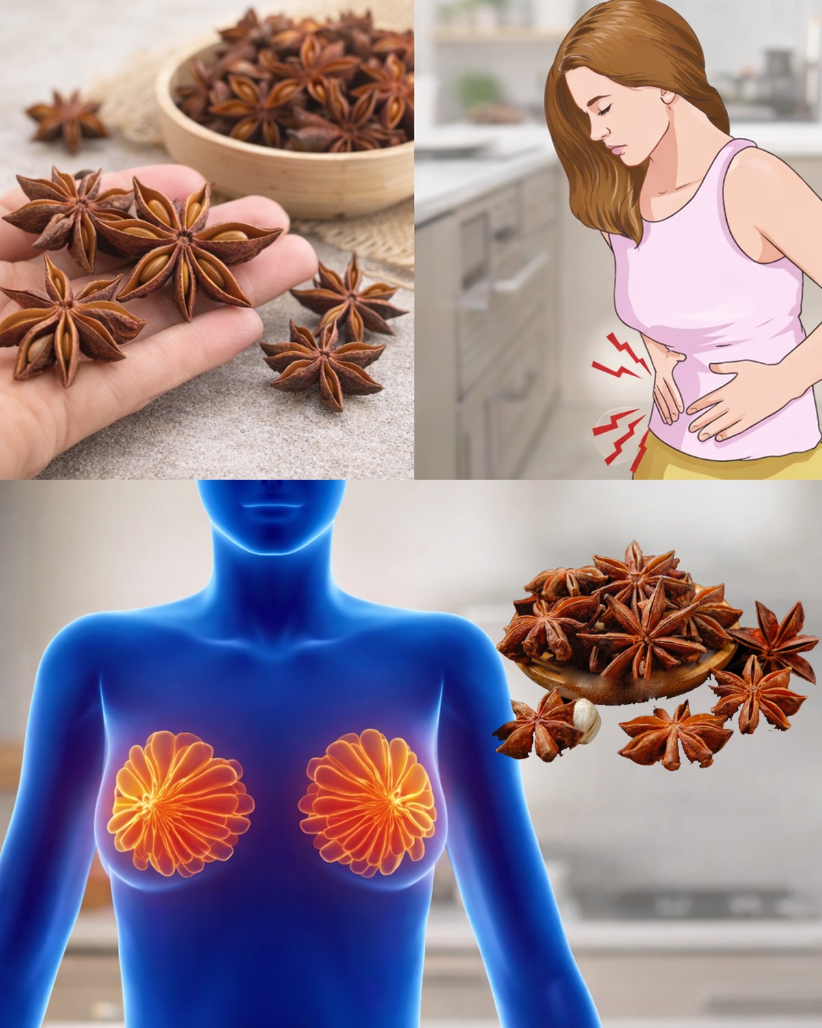 8 Health Benefits & Uses of Anise Seeds for Women — Backed by Tradition & Science