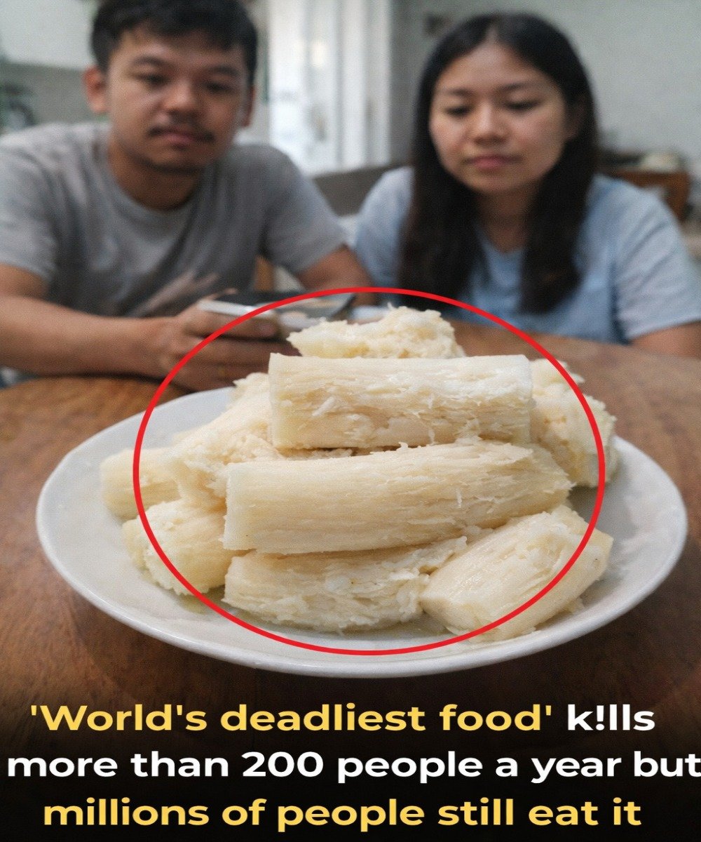 The World’s Deadliest Food Kills Over 200 People Every Year – But Nearly 500 Million Still Eat It Daily