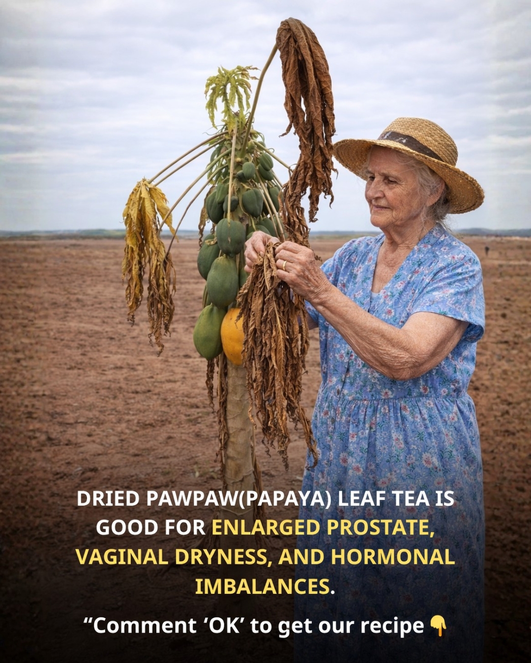 Papaya Leaf Tea: Benefits, Uses, and What You Should Know