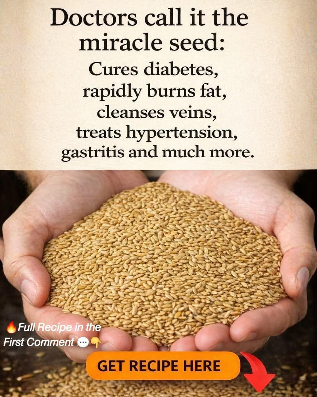 Alpiste: The Miracle Seed of Nature (Benefits, Uses, and How to Consume It)