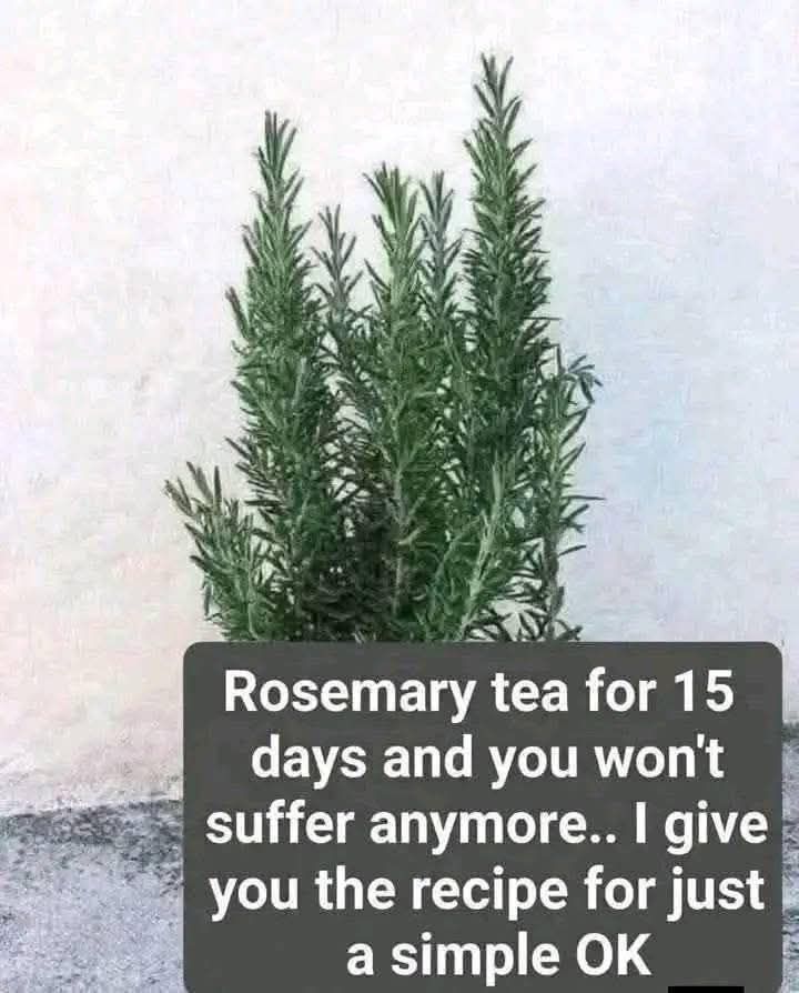 They call it natural morphine because it removes muscle, joint, and rheumatic pain