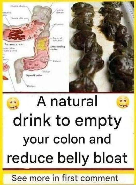 The Digestive Process: How the Body Separates Food from Waste