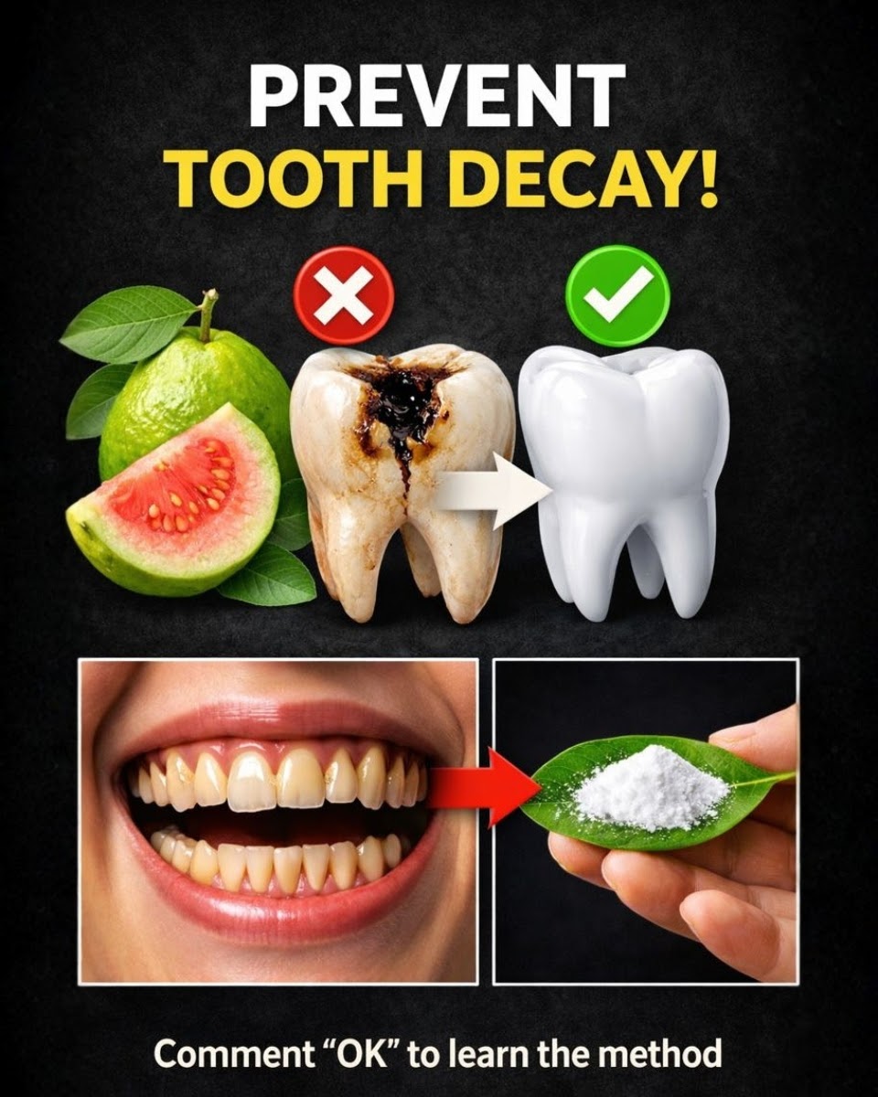 🌿 Discover Nature’s Secret: 3 Gentle Guava Leaf Remedies That May Help Protect Teeth from Cavities