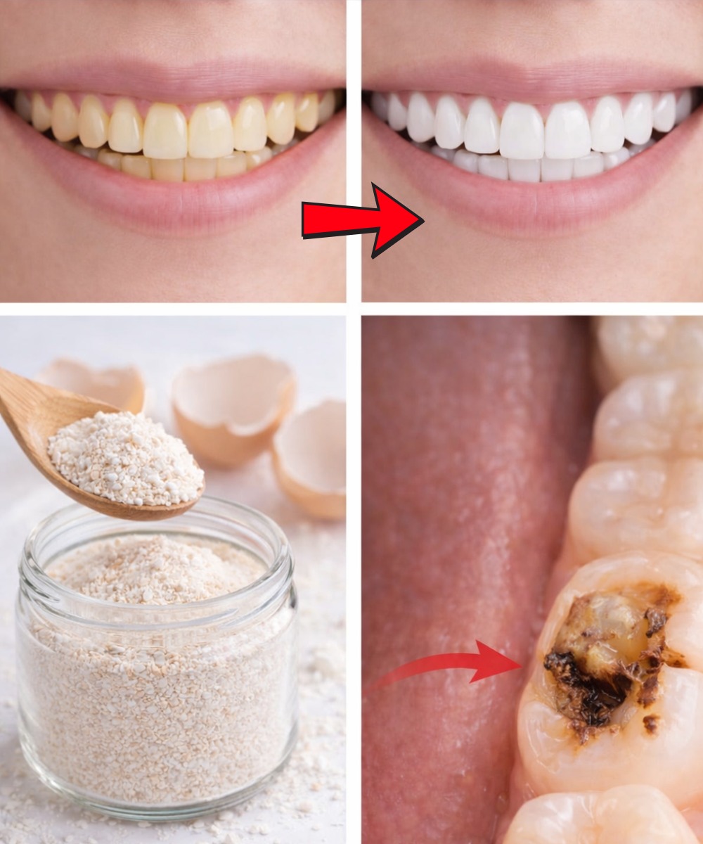 Eggshell Powder and Toothpaste: Unlock Tartar-Free Teeth Naturally at Home