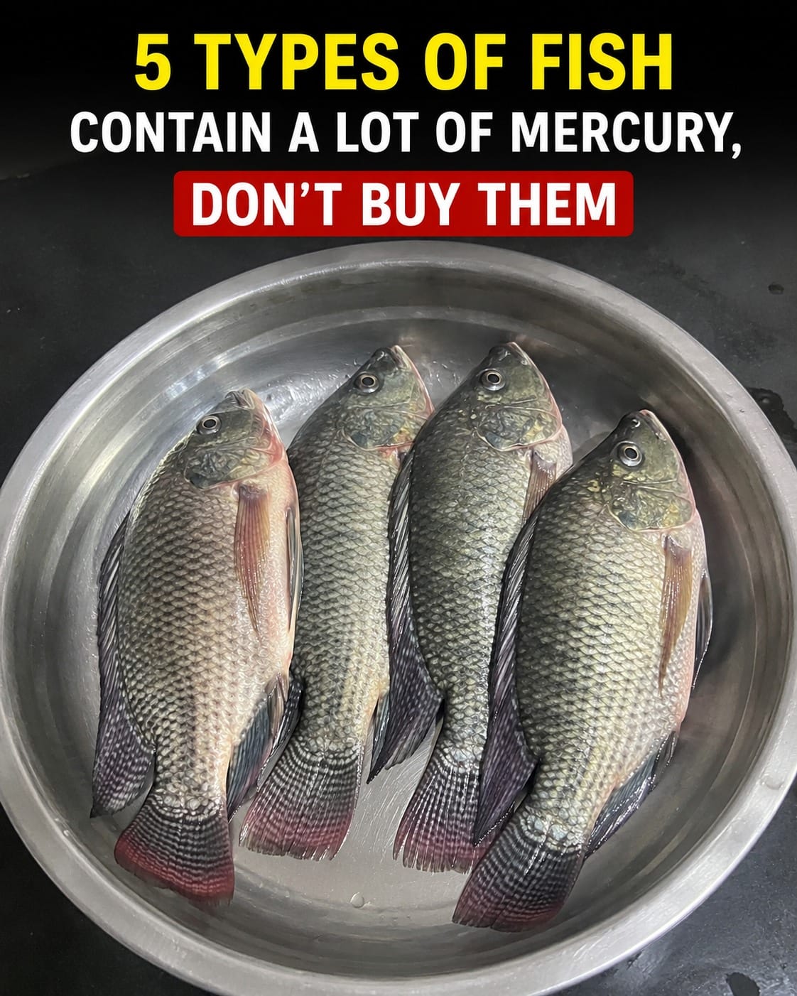 5 Fish High in Mercury You Should Know About – And Safer Seafood Swaps for Your Family