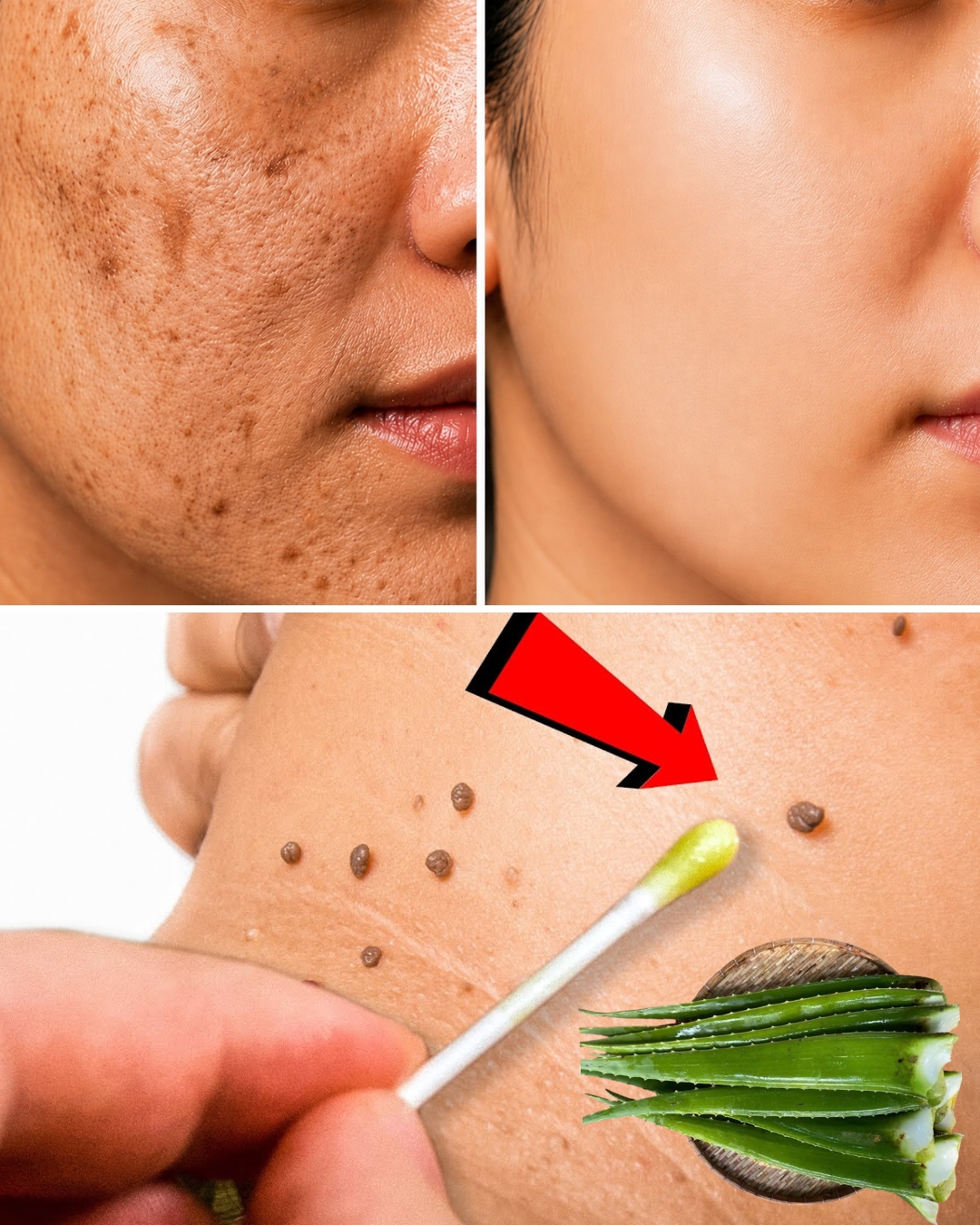 A True Treasure of Nature: How This Powerful Plant May Help Brighten Skin, Reduce Wrinkles, and Support Clearer Skin Naturally