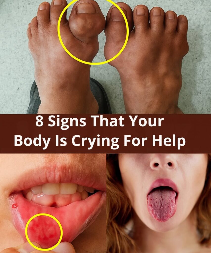 8 Silent Signs Your Body Is Begging for Help (Most People Over 40 Ignore #3)