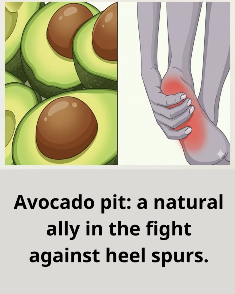 Avocado Seed: A Natural Remedy for Heel Spurs Pain?