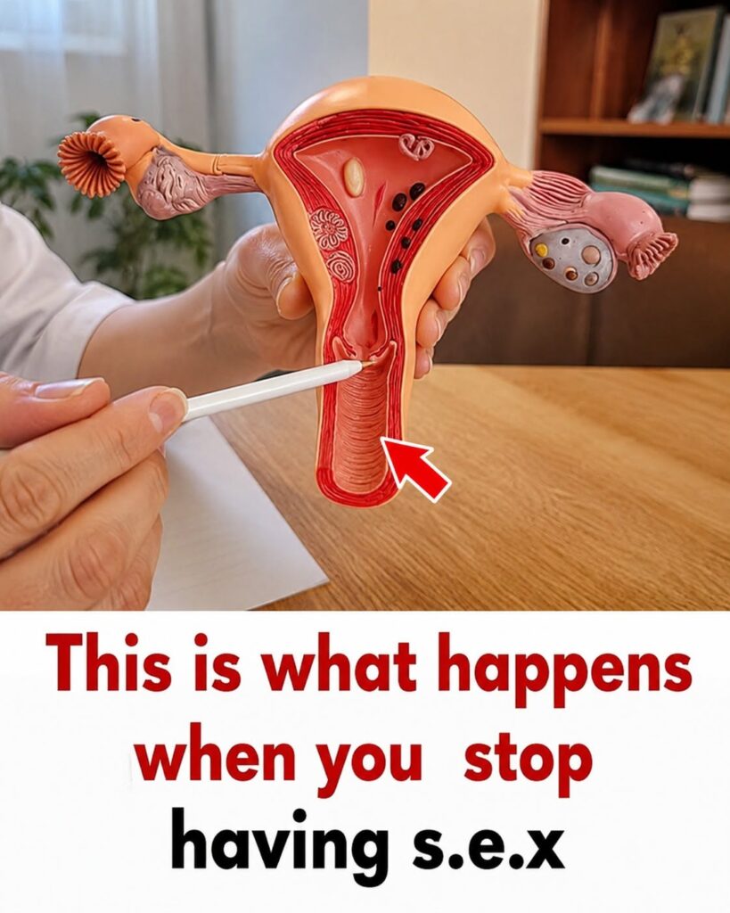 What Happens to Your Body When Your Sex Life Gets Interrupted? 5 Changes Couples Notice Fast