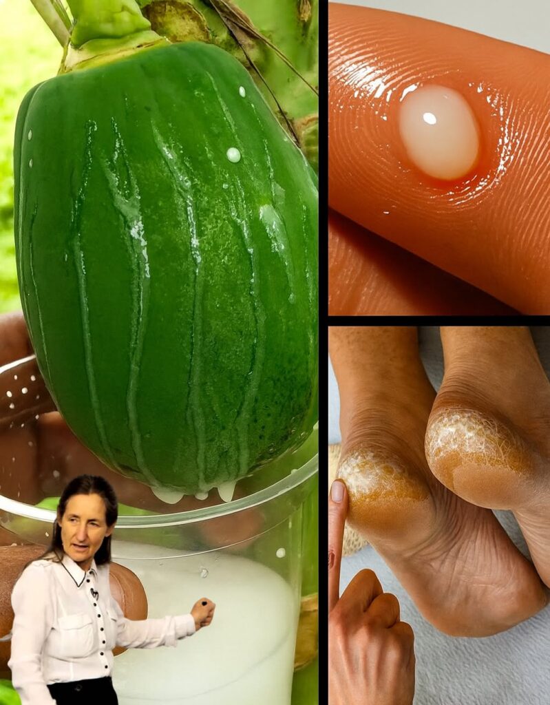 ENZYME EXFOLIATION: Papaya Sap Is the Natural Secret to Eliminating Cracked Heels and Healing Dry Skin