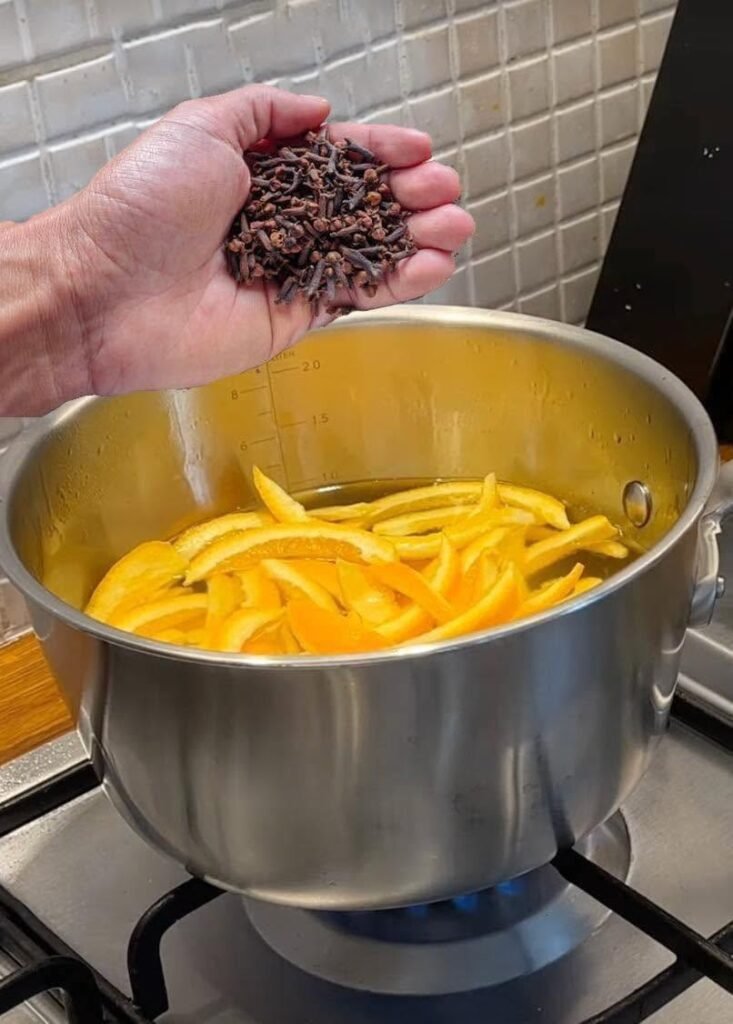 Orange Peel and Clove Wellness: Preventive Healthcare, Home Remedies, and Health Insurance Benefits in 2026