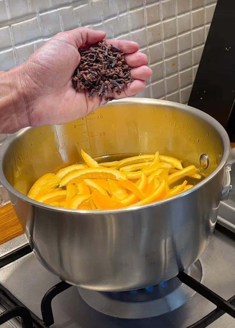  Orange Peel and Clove Wellness: Preventive Healthcare, Home Remedies, and Health Insurance Benefits in 2026