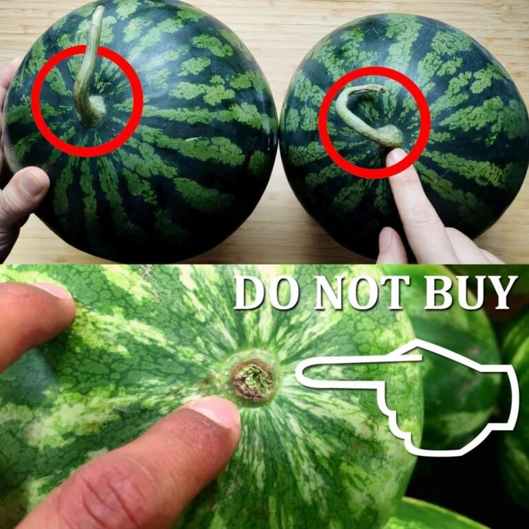 Whether Watermelon Is Sweet or Not — You Can Tell at a Glance 🍉