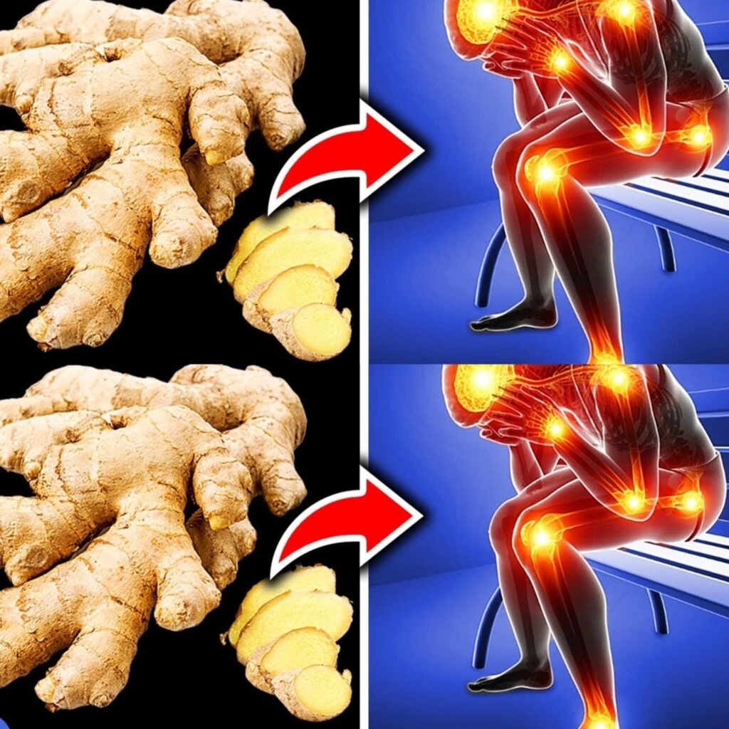 What Happens If You Eat Ginger Every Day? | Nutrition, Preventive Healthcare, and Wellness 2026