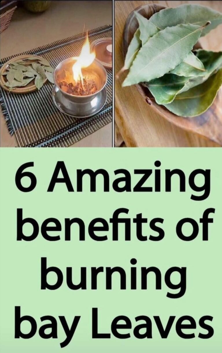 6 Possible Benefits of Burning Bay Leaves (Laurus nobilis)