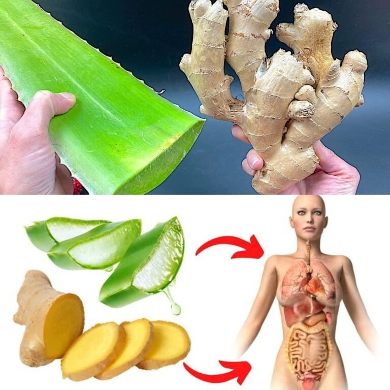 Aloe + Ginger: A Nutritious Wellness Combo
