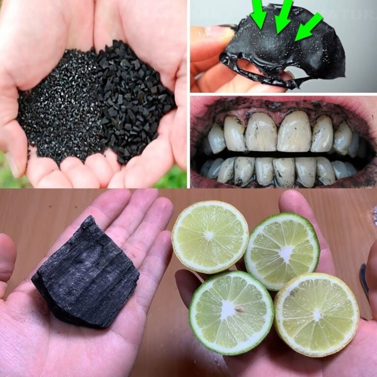 What Activated Charcoal Actually Does to Your Body | Preventive Healthcare, Nutrition, and Wellness 2026