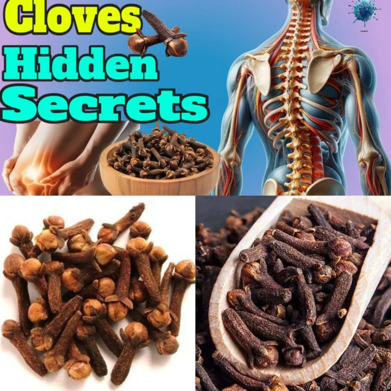 The Secret Power of Cloves: Natural Remedies for Pain, Immunity & More