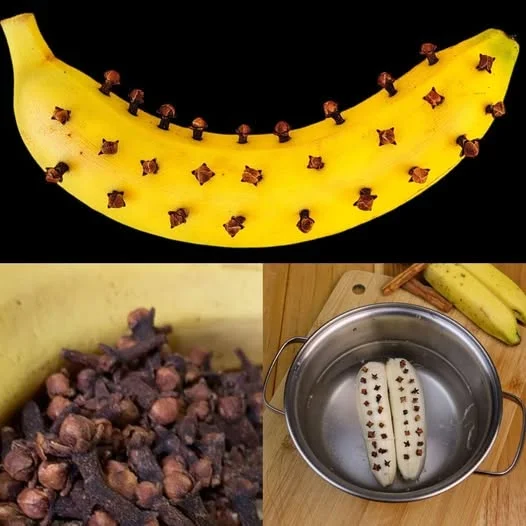 I’M SHOCK! Kills All Bacteria, Viruses, and Fungi – The Most Powerful Natural Remedy!