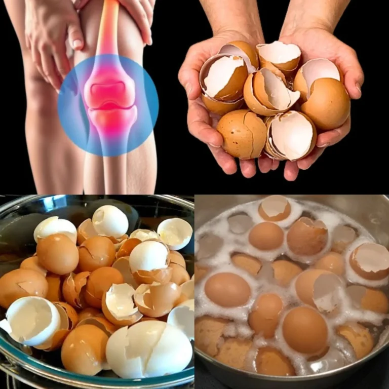 Never Throw Away Eggshells Again! You Won’t Believe How Useful They Are