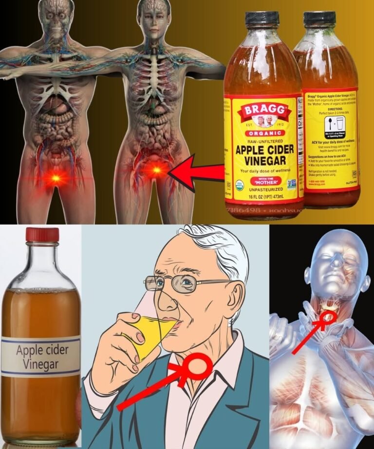 What Happens If You Start Using Apple Cider Vinegar Every Day? Benefits, Risks, and What Science Says