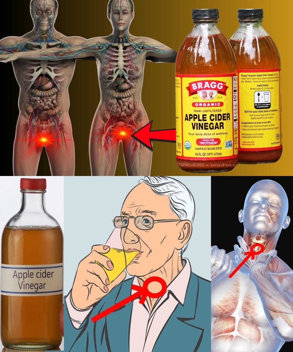 What Happens If You Start Using Apple Cider Vinegar Every Day? Benefits, Risks, and What Science Says