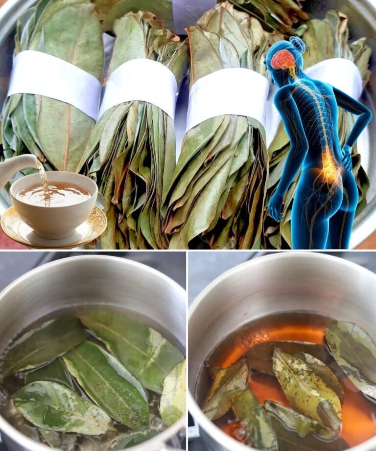 Soursop Leaf Tea – What You Should Know