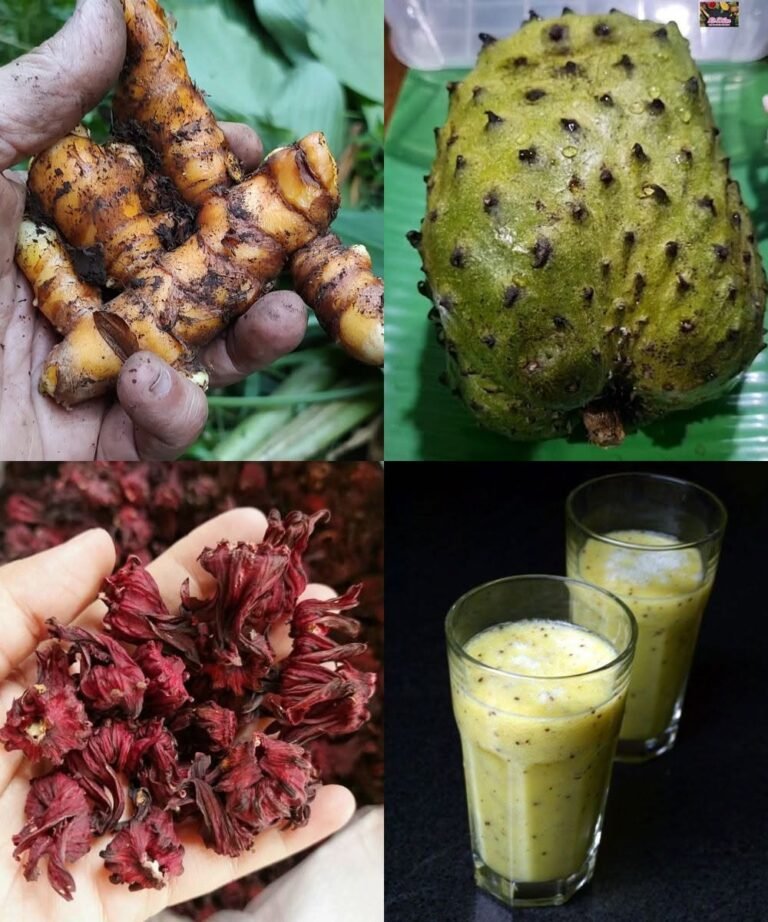 Turmeric, Soursop & Hibiscus Beverage