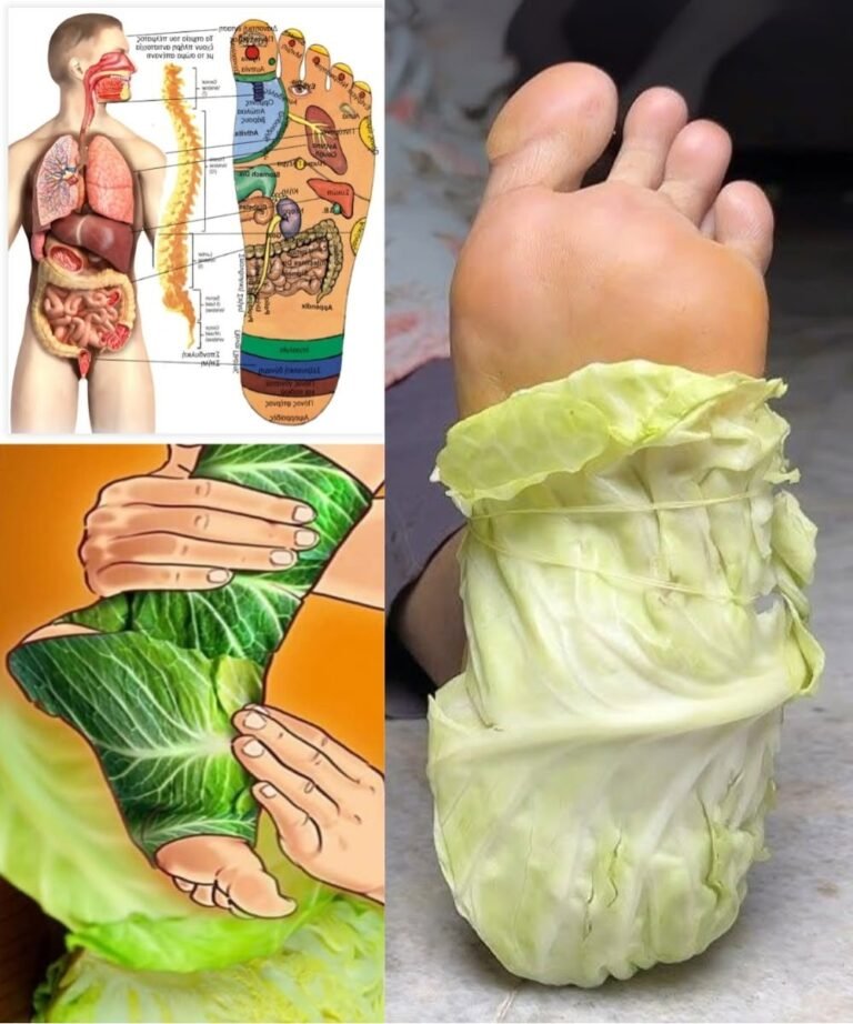 Cabbage Leaves Wrapped Around Your Legs: A Simple Remedy With Surprising Benefits