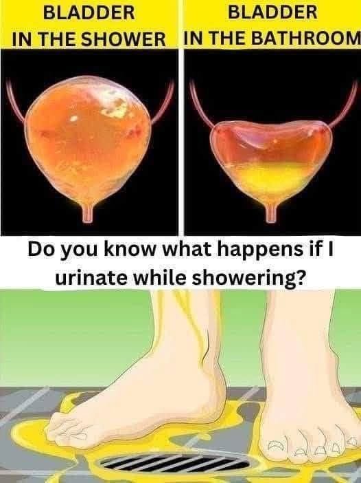 Peeing in the Shower: Why Some Doctors Advise Women to Avoid the Habit