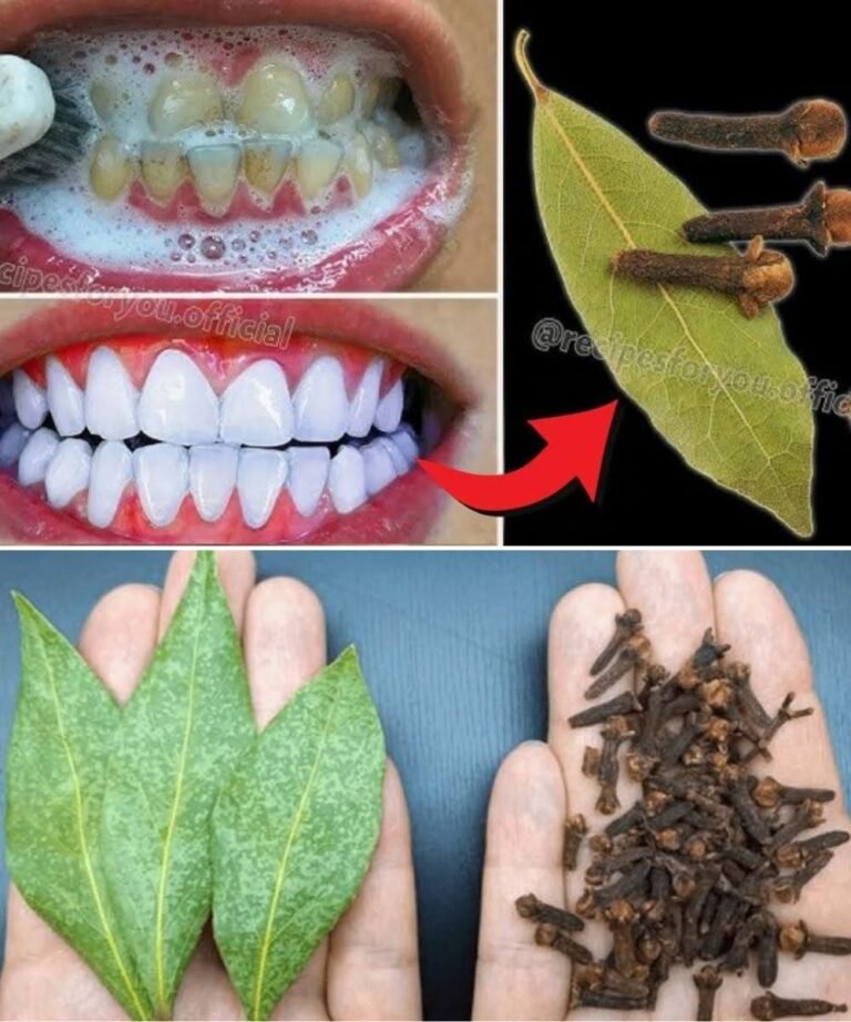 Bay Leaves and Cloves: Traditional Ingredients for Oral Care Routines