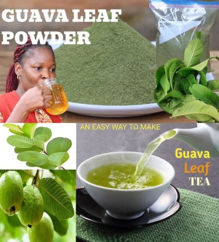 Guava Leaf Tea: What It Is + How to Make It