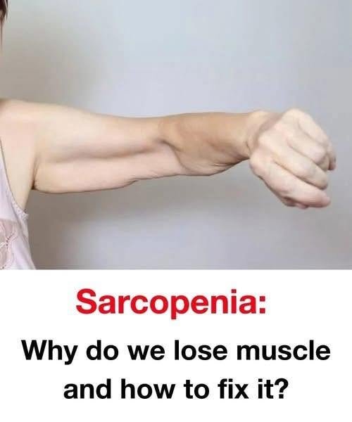 Sarcopenia: Understanding Age-Related Muscle Loss and How to Stay Strong
