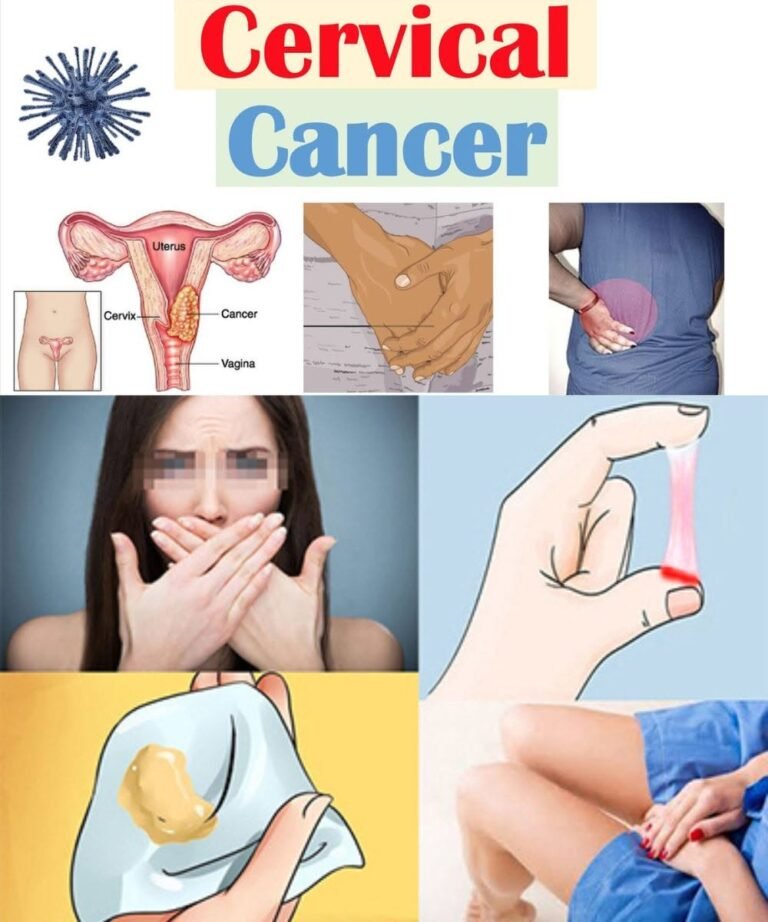 Women’s Health: Insurance Coverage, Preventive Care, and Budget Guide