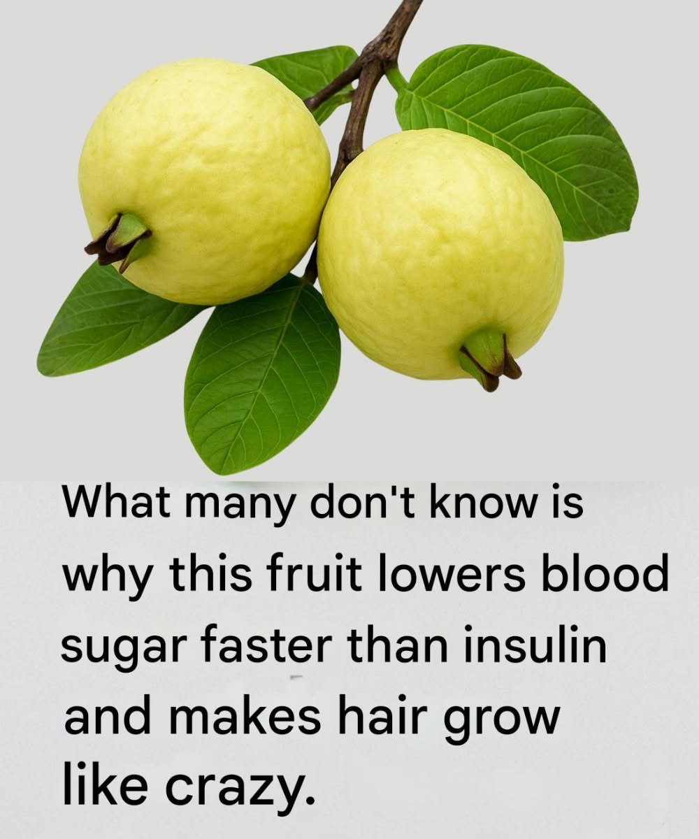 Guava and Guava Leaves: Natural Benefits for Blood Sugar, Hair Health, and Overall Wellness