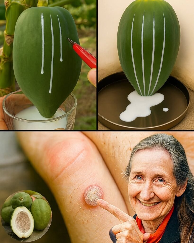 Papaya Sap: What Is It and Does It Have Any Health Benefits?
