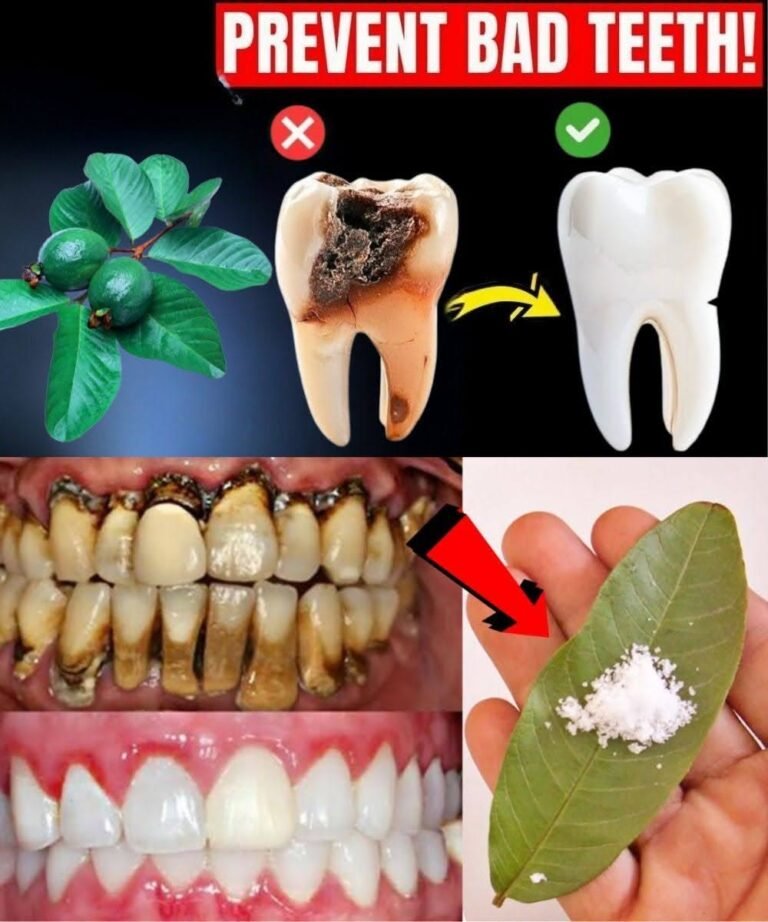 Guava Leaves and Teeth – Tradition vs Reality