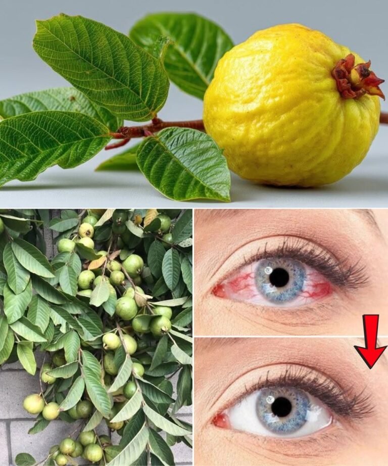 How to use guava to treat eye problems — natural remedies for the eyes.