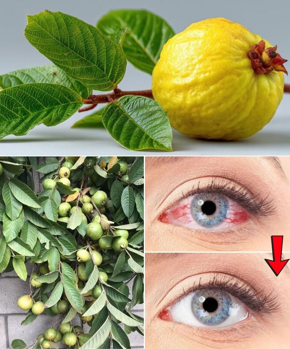 How to use guava to treat eye problems — natural remedies for the eyes.