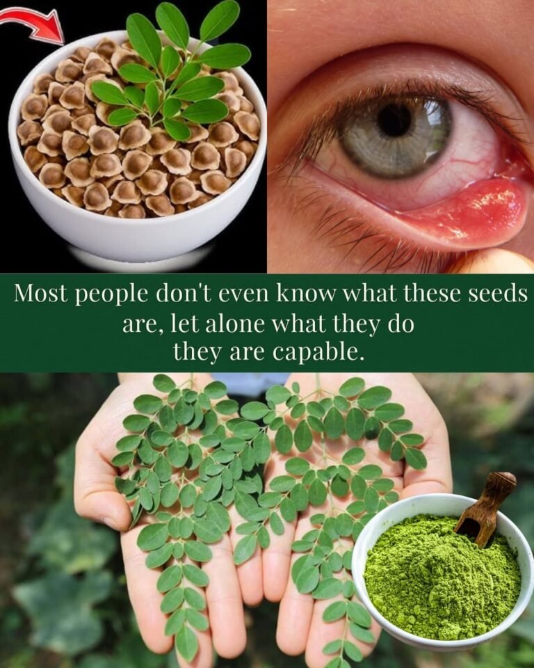 What If One Tiny Seed Could Quietly Rebuild Your Liver and Melt Away Bad Cholesterol?