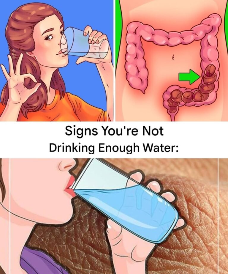 What Happens to Your Body When You Don’t Drink Enough Water?