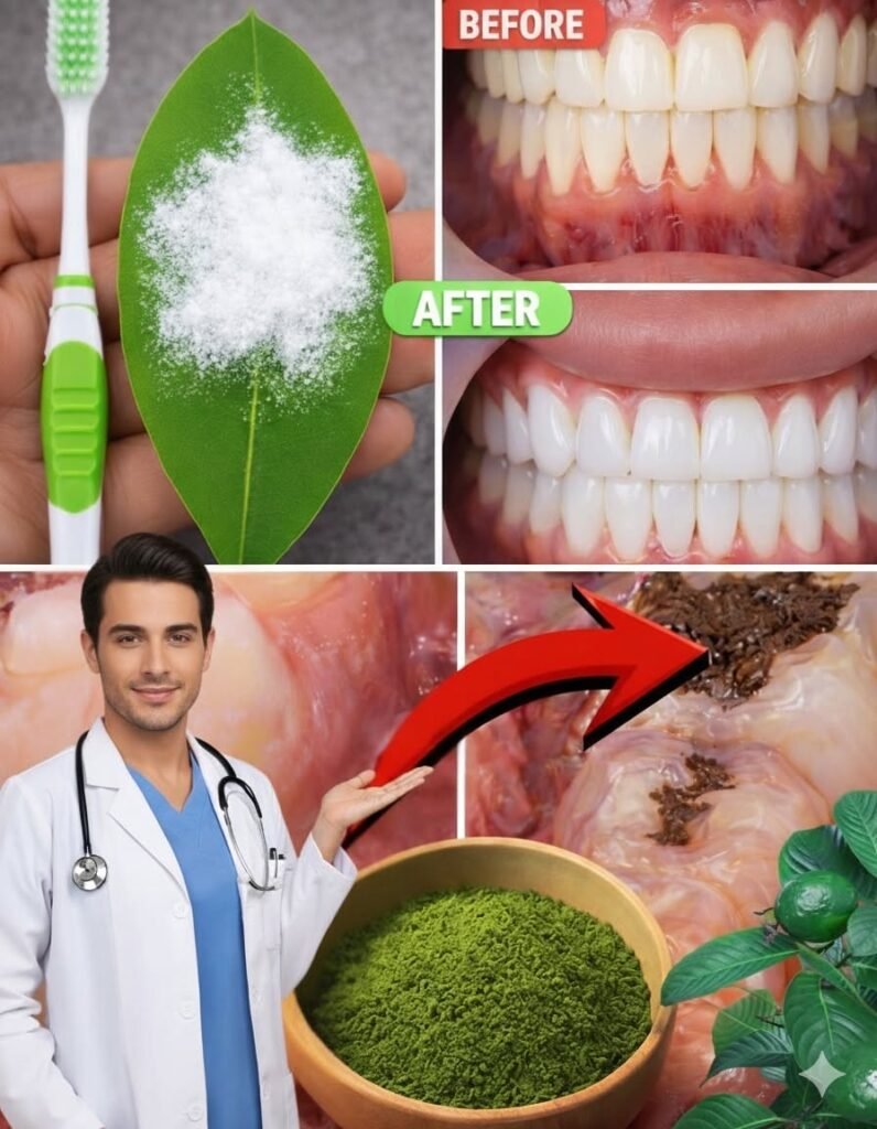 How to Naturally Brighten Your Smile with Guava Leaves: A Gentle Herbal Approach for Better Oral Health