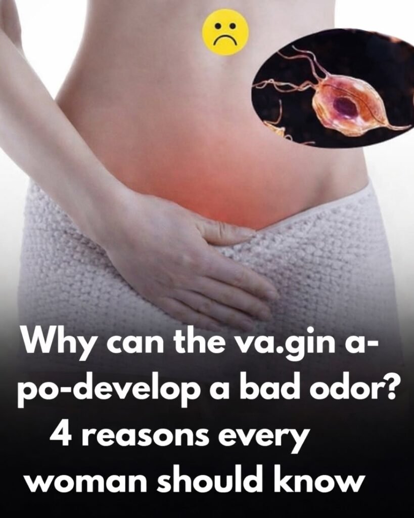 Why Does the Female Intimate Area Sometimes Have an Unpleasant Odor? 4 Common Causes and Healthy Solutions