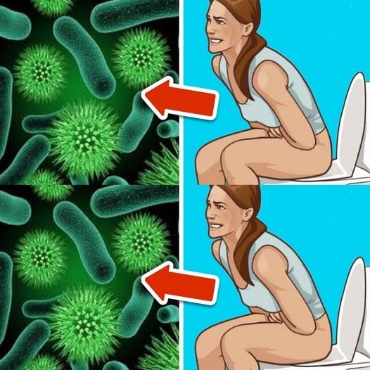 6 Signs You May Need More Probiotics