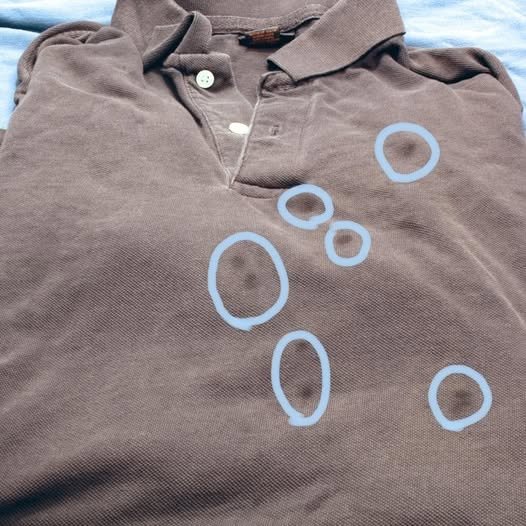 Handy Chart: How to Remove Any Type of Stain Easily at Home