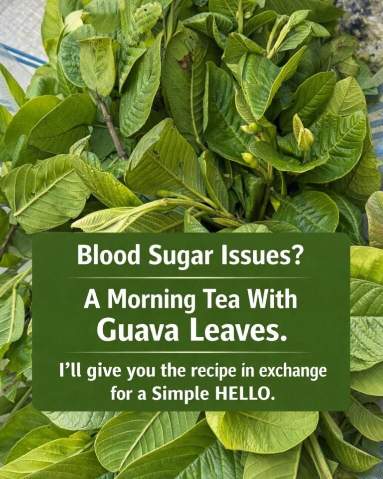 Guava Leaf Tea: Benefits, Properties, and How to Prepare This Powerful Herbal Drink